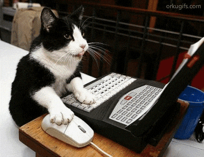 Cat using a mouse animation