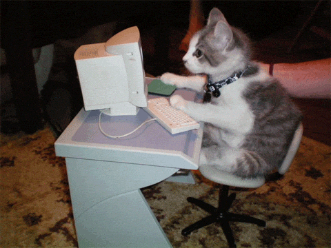 Cat tapping a keyboard animation